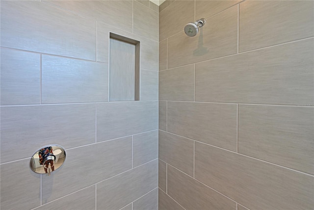 221 Cosmopolitan Ct, Sarasota, FL 34236 - interior details featuring a tile shower
