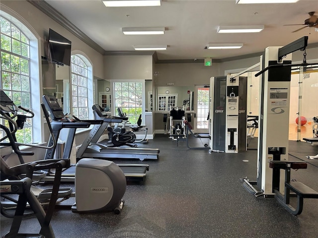 4166 Central Sarasota Pkwy Unit 535, Sarasota, FL 34238 - workout area featuring crown molding, ceiling fan, baseboards, and plenty of natural light