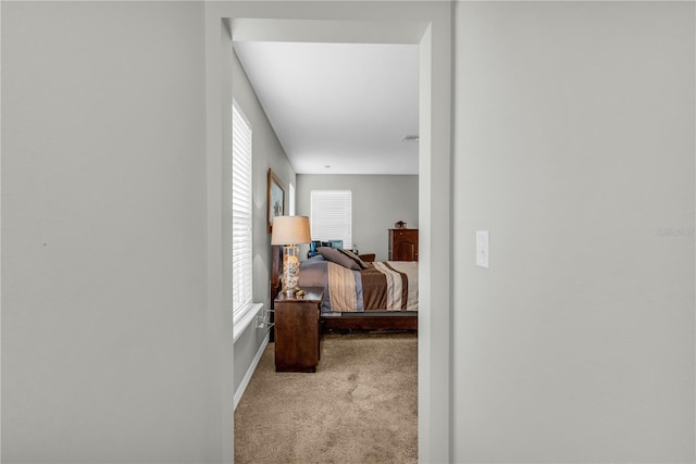 2918 130th Ave E, Parrish, FL 34219 - hallway with carpet flooring and baseboards