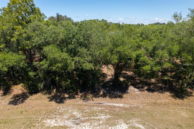 28190 Manfred Dr, Punta Gorda, FL 33955 - photo 5