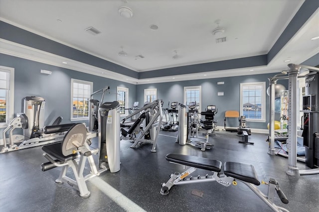 1613 4th St E, Palmetto, FL 34221 - exercise room with plenty of natural light, ornamental molding, a raised ceiling, and baseboards