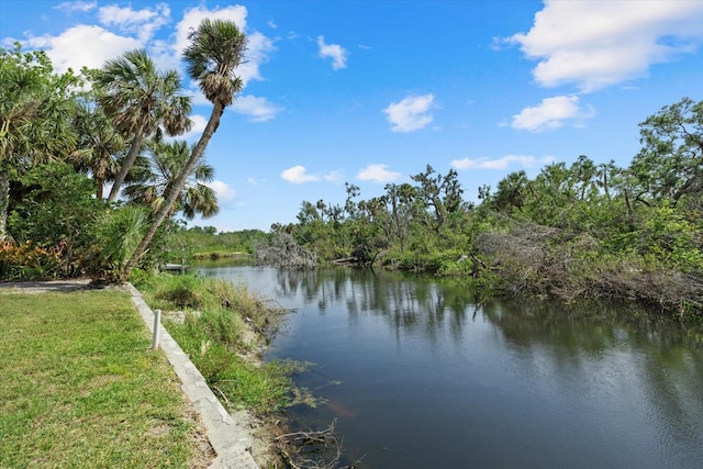 6718 68th Ave E, Bradenton, FL 34203 - view of water feature