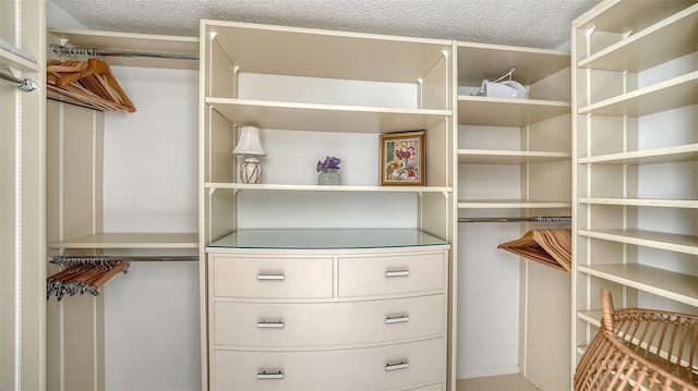 99 Sunset Dr Unit 102, Sarasota, FL 34236 - view of spacious closet