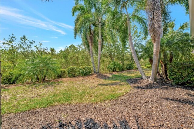 5009 Lake Overlook Ave, Bradenton, FL 34208 - view of yard