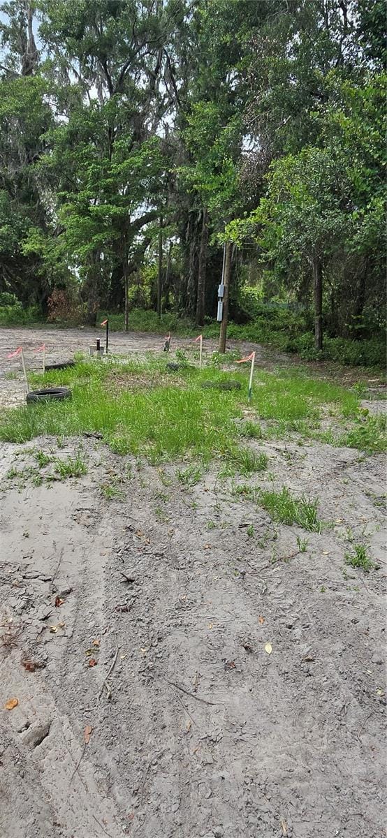 3199 168th St, Wellborn, FL 32094