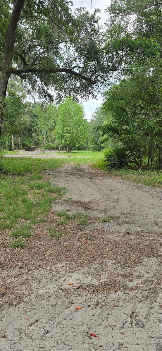 3199 168th St, Wellborn, FL 32094