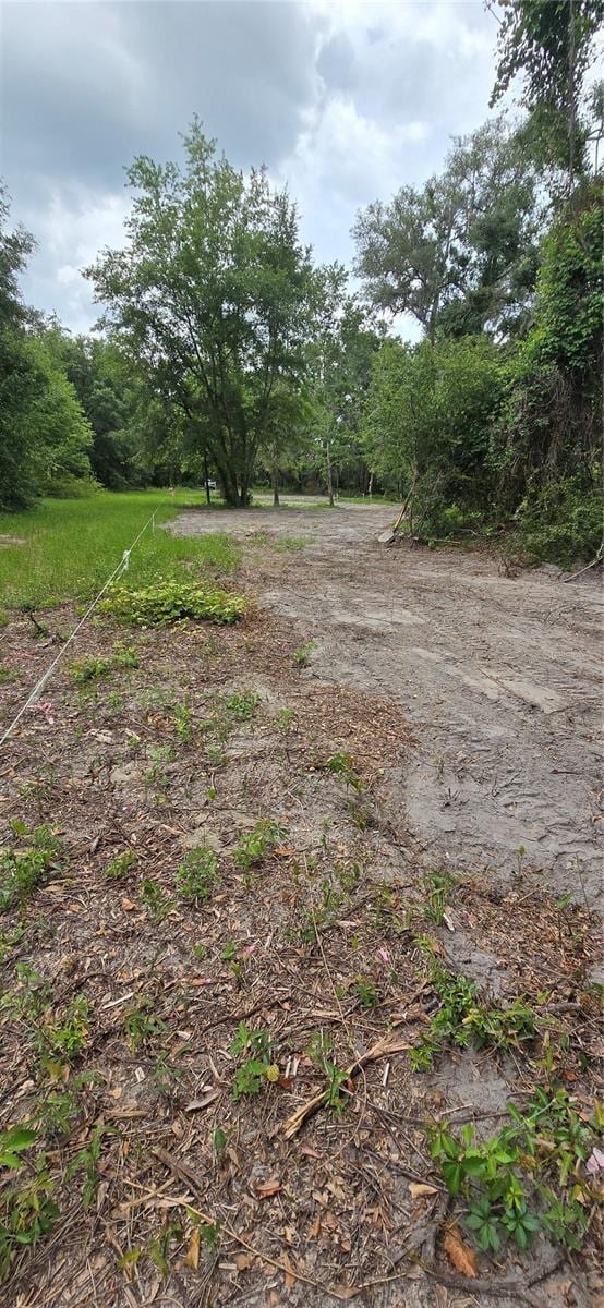 3199 168th St, Wellborn, FL 32094