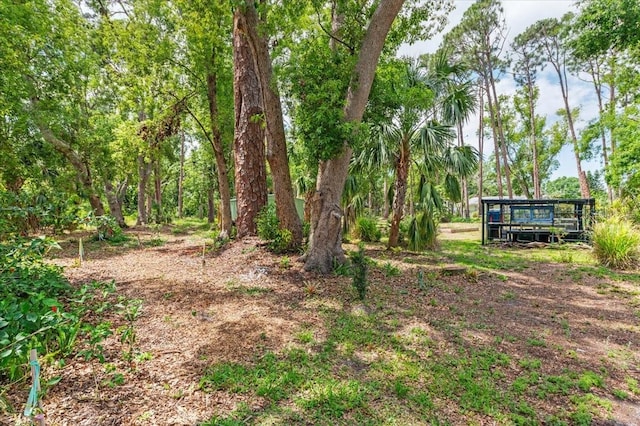 2326 2nd Ave E, Bradenton, FL 34208 - view of yard