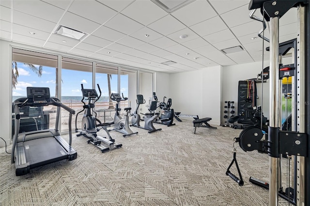 1750 Benjamin Franklin Dr Unit 6B, Sarasota, FL 34236 - gym with expansive windows, carpet, and a drop ceiling