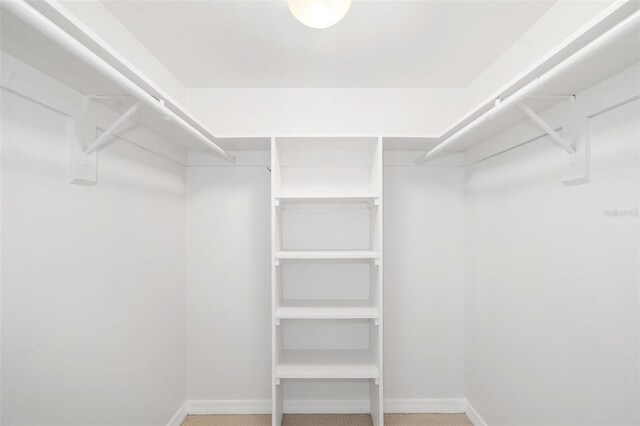 1750 Benjamin Franklin Dr Unit 6B, Sarasota, FL 34236 - view of spacious closet