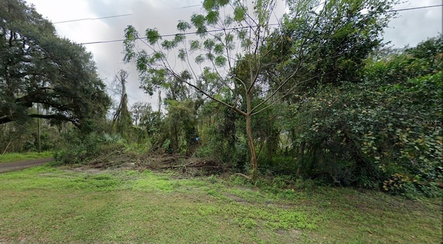 11185 Bessie Dix Rd, Seffner, FL 33584