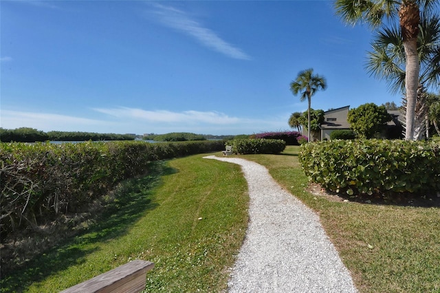 view of road featuring driveway