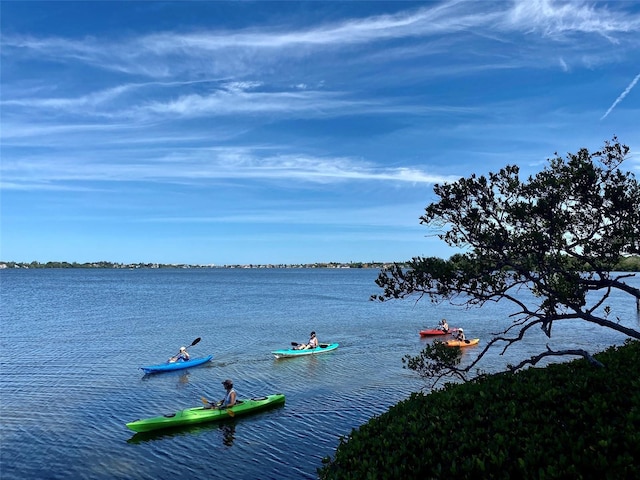 property view of water