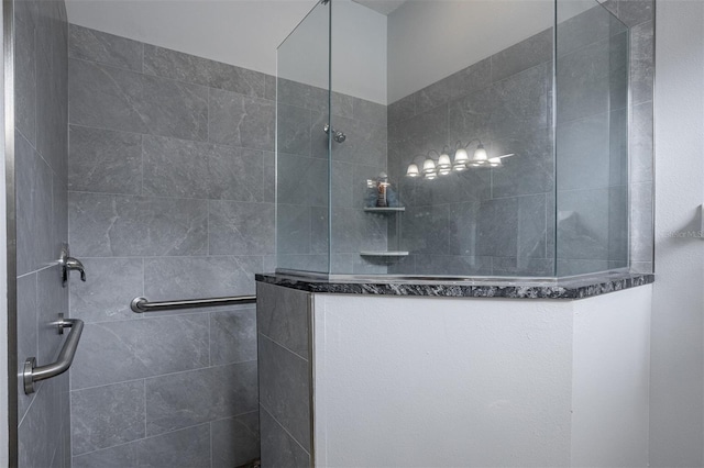 1322 Millbrook Cir, Bradenton, FL 34212 - bathroom with a walk in shower