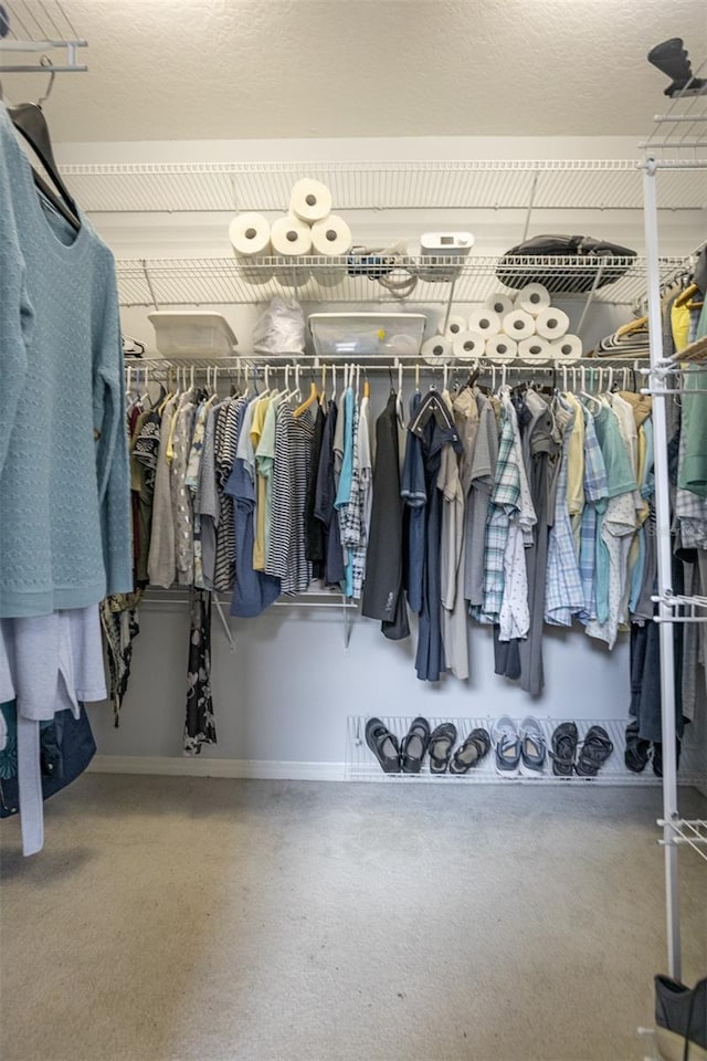1322 Millbrook Cir, Bradenton, FL 34212 - view of walk in closet