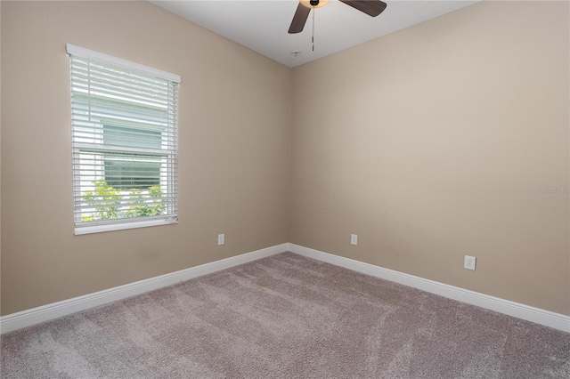 4839 Deep Creek Ter, Parrish, FL 34219 - photo 27