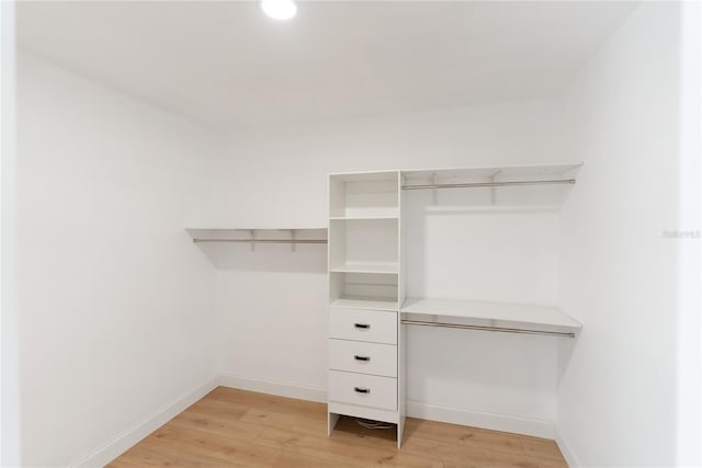 spacious closet with light wood-type flooring
