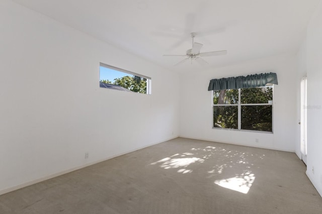 empty room with a wealth of natural light, ceiling fan, and carpet