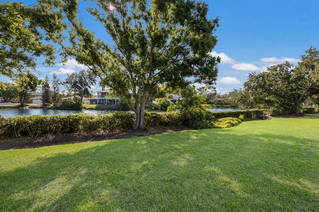 view of yard with a water view