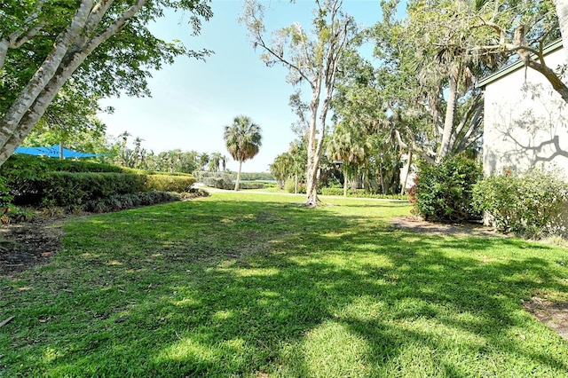 1532 Pelican Point Dr Unit Ba139, Sarasota, FL 34231 - view of yard