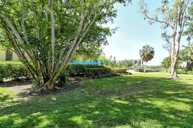1532 Pelican Point Dr Unit Ba139, Sarasota, FL 34231 - view of community with a lawn