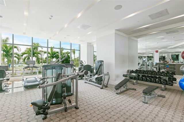 workout area with a wall of windows, plenty of natural light, and carpet