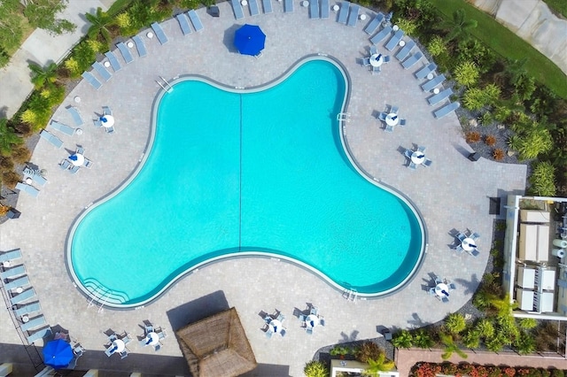 5881 Girona Pl, Sarasota, FL 34238 - drone / aerial view of a pool