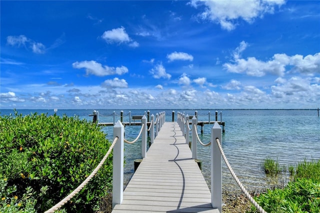 dock area with a water view