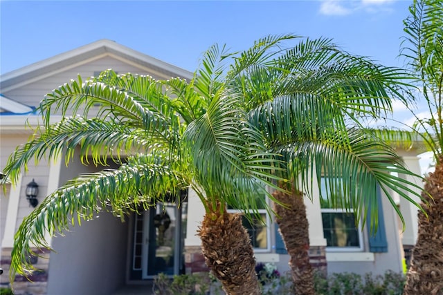 6124 35th Ct E, Bradenton, FL 34203 - view of property exterior featuring stucco siding