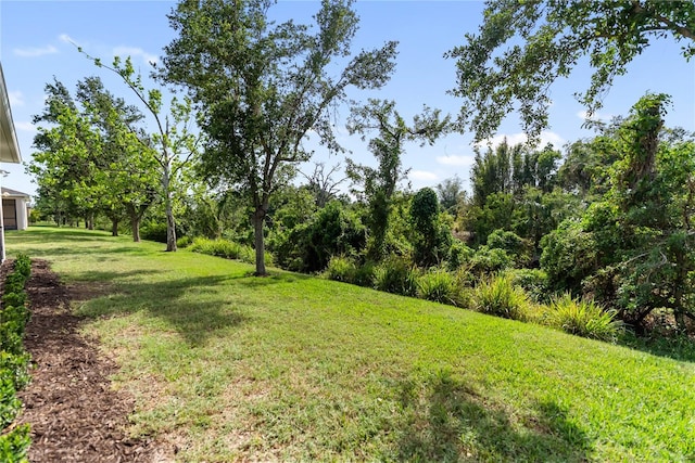 6124 35th Ct E, Bradenton, FL 34203 - view of yard