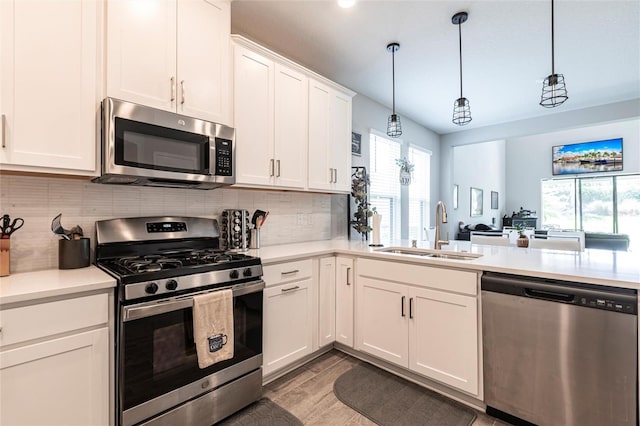 kitchen featuring light countertops, appliances with stainless steel finishes, a sink, and a healthy amount of sunlight