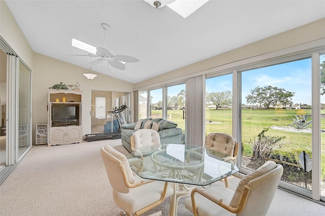 4360 Presidential Avenue Cir E, Bradenton, FL 34203 - sunroom with vaulted ceiling with skylight, carpet flooring, and a healthy amount of sunlight