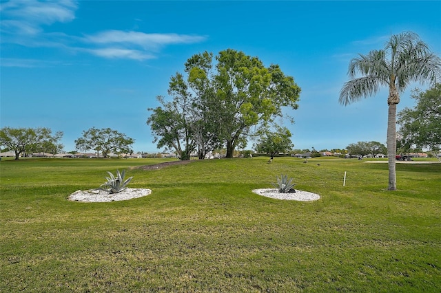 4360 Presidential Avenue Cir E, Bradenton, FL 34203 - view of yard