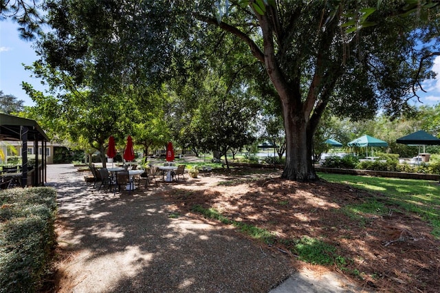 4044 Penshurst Park, Sarasota, FL 34235 - view of yard