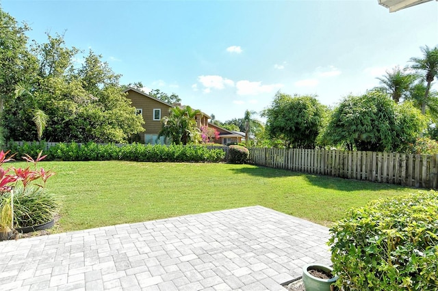 view of yard featuring a patio area and a fenced backyard
