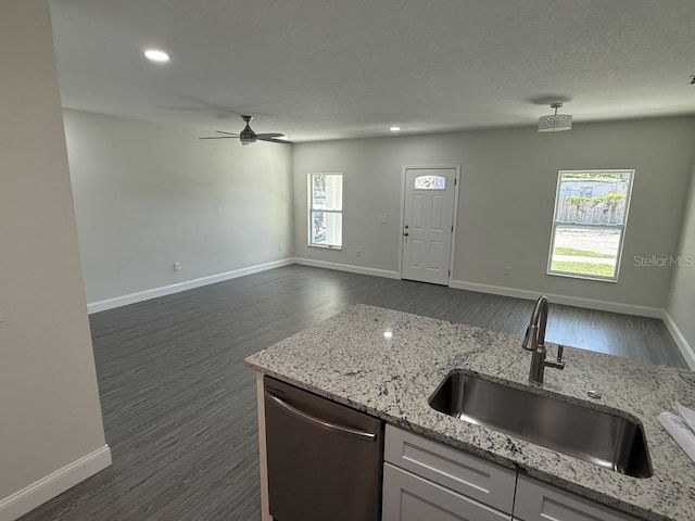 8810 N Mulberry St, Tampa, FL 33604 - kitchen featuring a ceiling fan, stainless steel dishwasher, a sink, and dark wood-style floors