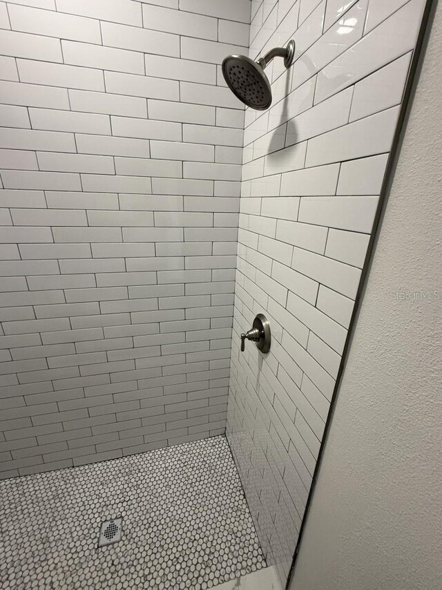 8810 N Mulberry St, Tampa, FL 33604 - full bath with a stall shower