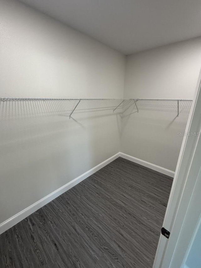 8810 N Mulberry St, Tampa, FL 33604 - spacious closet with dark wood finished floors