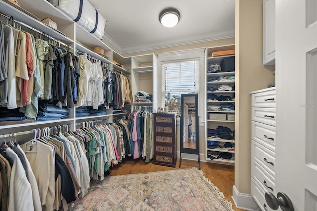 526 56th St, Holmes Beach, FL 34217 - walk in closet featuring wood finished floors