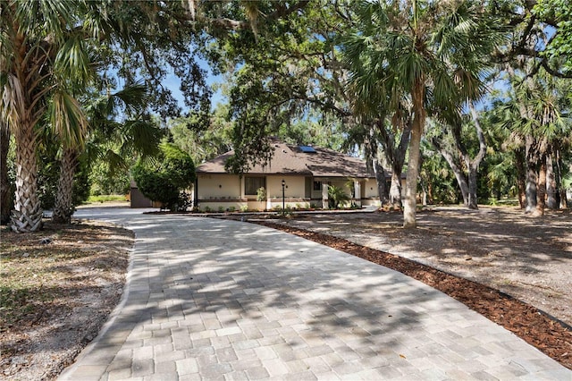 4916 Hidden Oaks Trl, Sarasota, FL 34232 - obstructed view of property with curved driveway and stucco siding