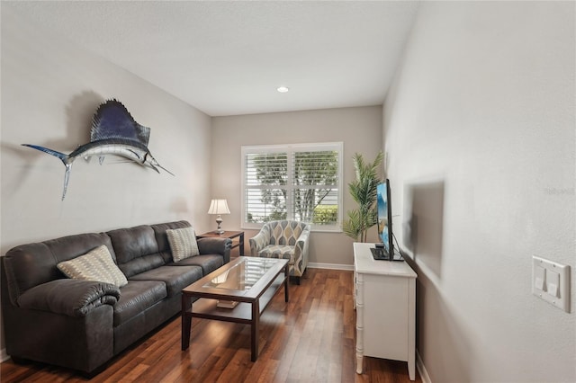 5023 Brickell Park Cv, Bradenton, FL 34211 - living area with dark wood-style flooring, baseboards, and recessed lighting