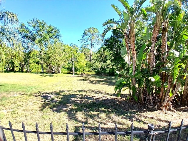 6631 63rd Ter E, Bradenton, FL 34203 - view of yard