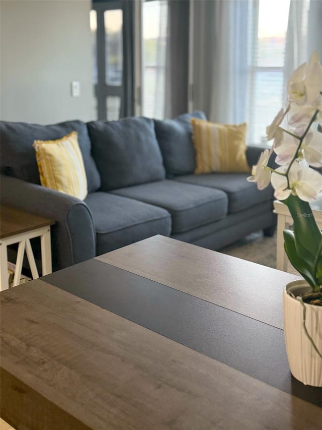 living area with a healthy amount of sunlight