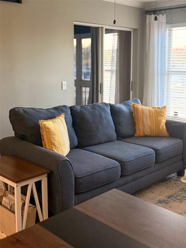 living area with ornamental molding