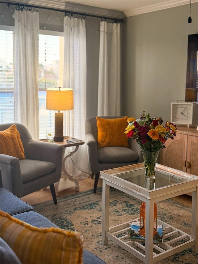 living area with crown molding and a wealth of natural light