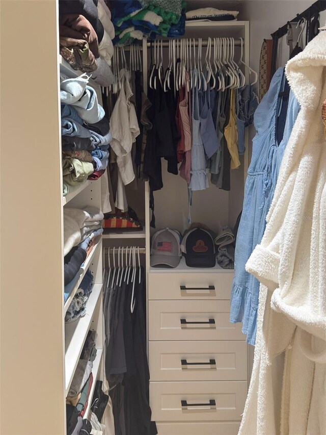 view of walk in closet