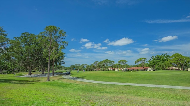 view of property's community featuring a yard