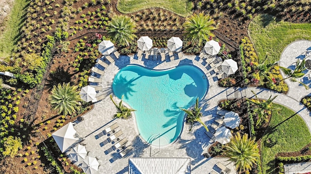 16202 Isola Pl, Bradenton, FL 34211 - drone / aerial view of a pool area