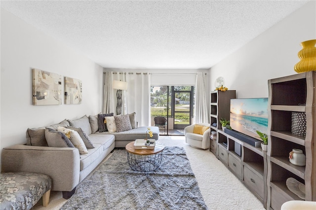 carpeted living area with a textured ceiling