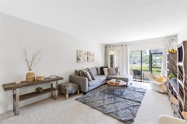 carpeted living room with a textured ceiling